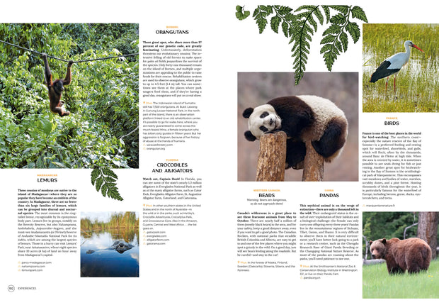 Wanderlust - A Traveler's Guide to the Globe