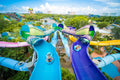 Aquatica Orlando Omaka Rocka water slide