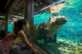 Busch Gardens Tampa - girl viewing hippo