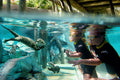 Discovery Cove Orlando